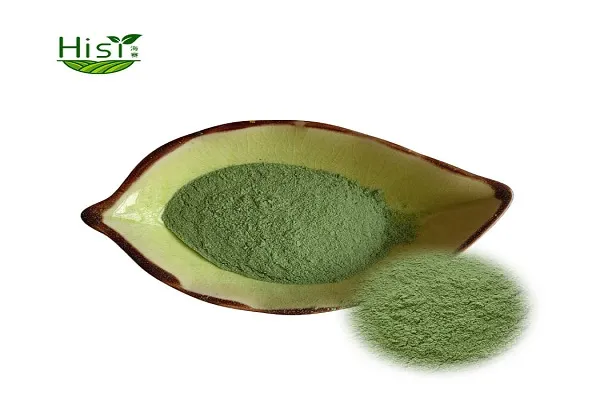 Why Choose Organic Barley Seedling Powder for Supplements?